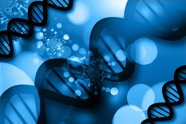 適用于多層火焰復合工藝的火貼棉聚醚多元醇：確保多層材料之間形成牢固的物理和化學結合，防止復合結構在使用過程中分層